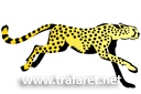 Tiere zeichnen Schablonen - Gepard