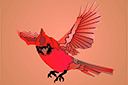 Tiere zeichnen Schablonen - Rot Kardinal 2