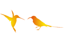 Tiere zeichnen Schablonen - Zwei Kolibris 