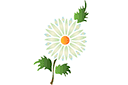 Schablonen für Blumen zeichnen - Motiv mit üppig Gänseblume
