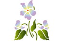 Schablonen für Blumen zeichnen - Veilchen 70