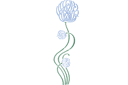 Schablonen für Blumen zeichnen - Märchenaster