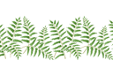 Schablonen des Blätter und Gras Design - Bordürenmotiv aus Farnkraut 12