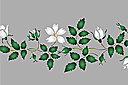 Schablonen für die Bordüren mit Pflanzen - Weiße Hagebutte - Bordüre