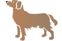 Tiere zeichnen Schablonen - Hund