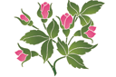 Schablonen für Blumen zeichnen - Motiv aus Rosen