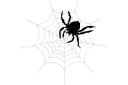 Schablonen mit Insekten Motive - Eine große Spinne und ein Netz