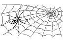 Schablonen mit Insekten Motive - Eine dünne Spinne auf einem Netz