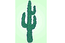 Schablonen im lateinamerikanischen Stil - Kaktus