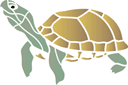 Tiere zeichnen Schablonen - Schildkröte 02