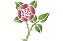 Schablonen für Rosen zeichnen - Runde Rose 4
