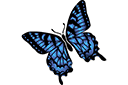 Schablonen für Schmetterlinge zeichnen - Großer Schwalbenschwanz