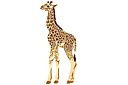 Tiere zeichnen Schablonen - Kleine Giraffe