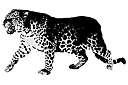 Tiere zeichnen Schablonen - Leopard