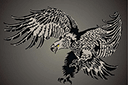 Tiere zeichnen Schablonen - Großer angreifender Adler