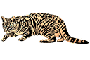 Tiere zeichnen Schablonen - Hockende Katze