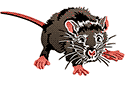 Tiere zeichnen Schablonen - Angst Maus