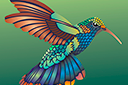 Tiere zeichnen Schablonen - Die Vielfalt der Kolibris