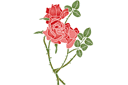 Schablonen für Rosen zeichnen - Stachelige Röschen