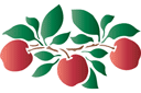 Schablonen für die Frucht Malen - Apfelmuster