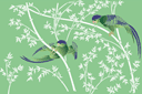 Tiere zeichnen Schablonen - Fink auf einem Zweig sitzend