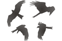 Schablonen für Silhouetten zeichnen - Vier Falken