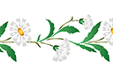 Schablonen für Blumen zeichnen - Wilde Gänseblümchen - Bordüre
