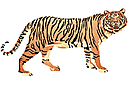 Schablonen für die Raumdekor des Kindes - lebendigen Wald - Tiger