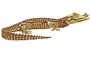 Tiere zeichnen Schablonen - Krokodil
