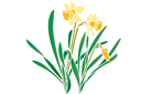 Schablonen für Blumen zeichnen - Gelbe Narzissen