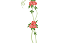 Schablonen für Rosen zeichnen - Langstieligen Rosen
