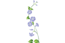 Schablonen für Blumen zeichnen - Hasenglöckchen-Winde