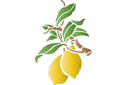 Schablonen für die Frucht Malen - Zitronen auf einem Zweig