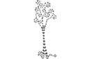 Schablonen für Bäume zeichnen - Baum Spirale 1