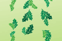 Schablonen des Blätter und Gras Design - Zauberwald 6