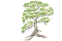 Schablonen für Bäume zeichnen - Magischer Baum