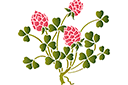 Schablonen für Blumen zeichnen - Blühender Klee 76-2