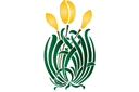 Schablonen für Blumen zeichnen - Gelbe Tulpen