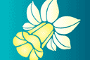 Große Schablonen - Narzissenblume
