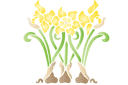 Schablonen für Blumen zeichnen - Drei Narzissen