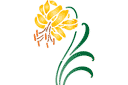 Schablonen für Blumen zeichnen - Gelbe Lilie