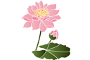 Schablonen für Blumen zeichnen - Wasserlilie