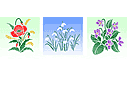 Schablonen für Blumen zeichnen - Mohn, Schneeglöckchen, Kornblume