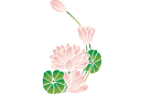 Schablonen für Blumen zeichnen - Wasserlilien