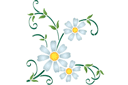 Schablonen für Blumen zeichnen - Motiv mit Kamille 43