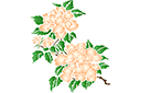 Schablonen für Blumen zeichnen - Große Chrysanthemen A