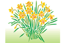 Schablonen für Blumen zeichnen - Die dreizehn Narzissen