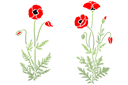 Schablonen für Blumen zeichnen - Paar frische Mohn 