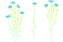Schablonen für Blumen zeichnen - Kornblumen 49