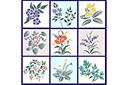 Schablonen für Blumen zeichnen - Satz der Blumen 51